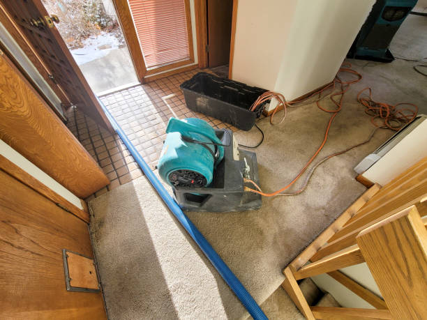 Best 24-hour water damage restoration  in Newton, AL