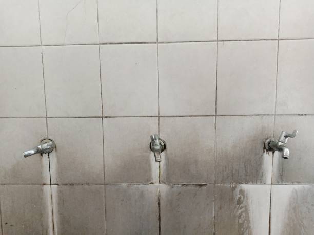 Best Water damage restoration company  in Newton, AL